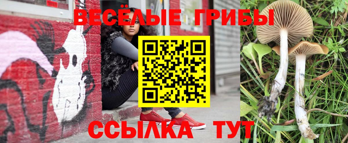 Галлюциногенные грибы мухоморы Усть-Илимск