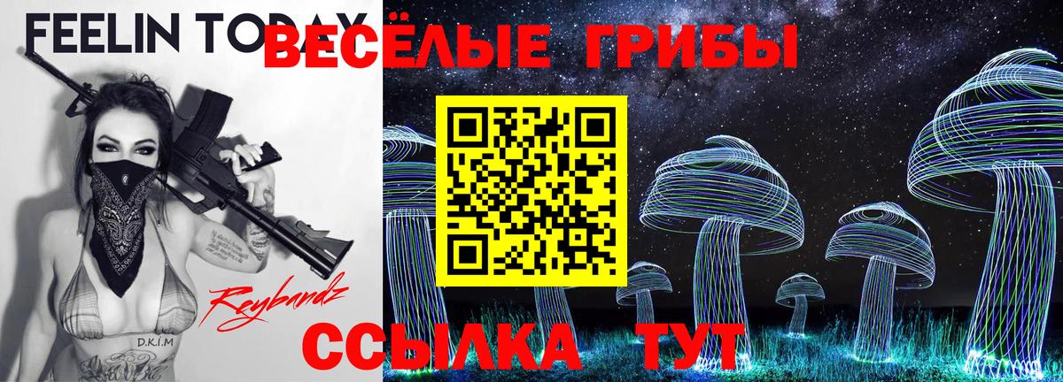 Усть-Илимск  Псилоцибиновые грибы Psilocybe  купить наркоту  Вход с VPN 