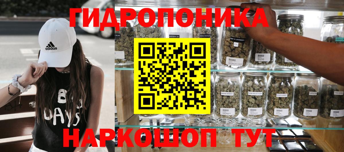 Шишки марихуана марихуана Усть-Илимск
